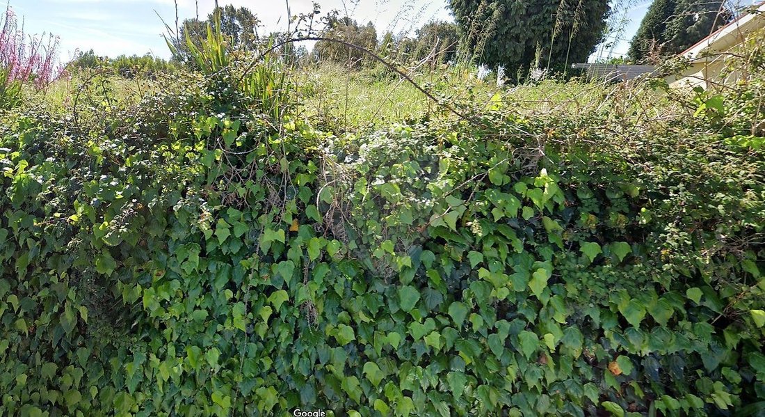 Land in Grijo e Sermonde, Distrikt Porto, Portugal 2 - 18800044