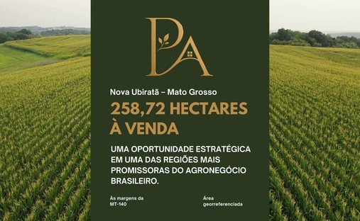Domaine en Nova Ubiratã, Mato Grosso, Brésil 1