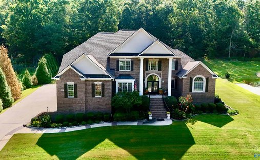 Maison à Madison, Alabama, États-Unis 1