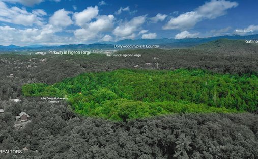 Terreno a Sevierville, Tennessee, Stati Uniti 1