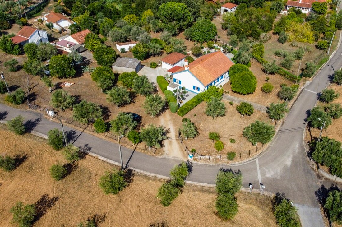 Azienda agricola a Martinchel, Distretto di Santarém, Portogallo 1 - 18555548
