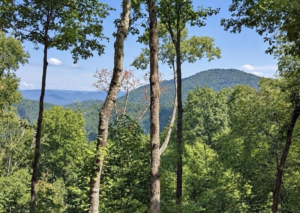 Casa en Ellijay, Georgia, Estados Unidos 2 - 18803629
