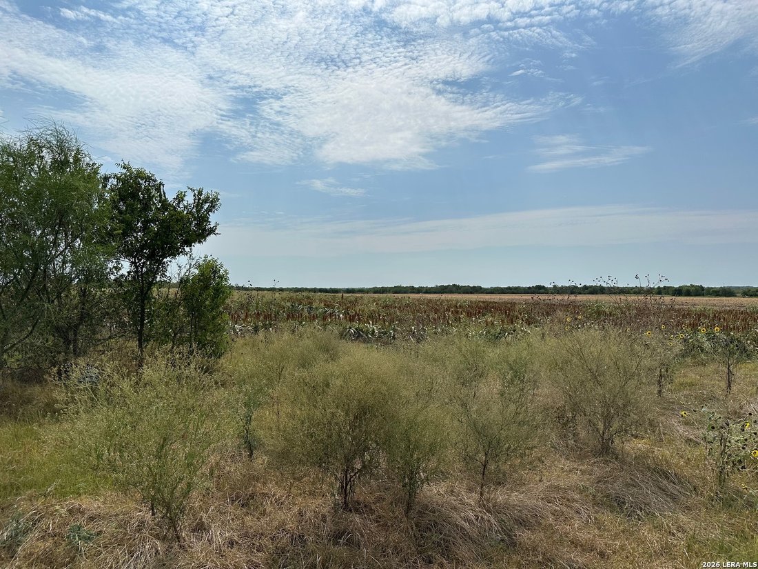 Converse, Texas, United States 4 - 18793163