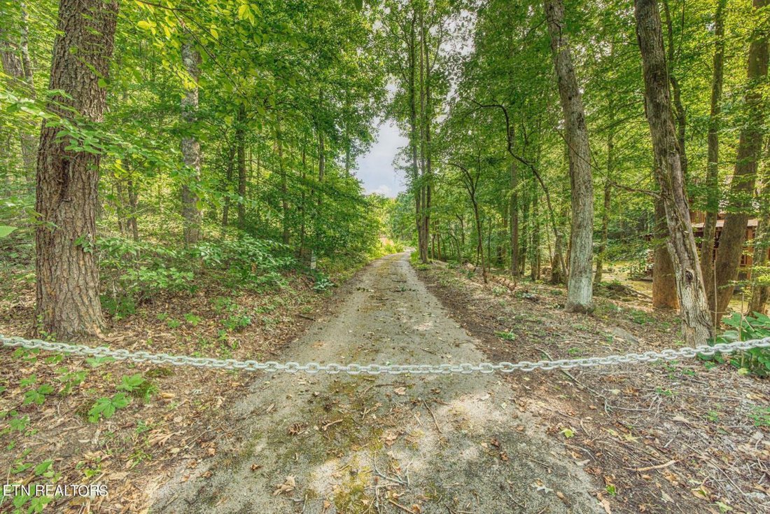 Terreno a Sevierville, Tennessee, Stati Uniti 2 - 18801967