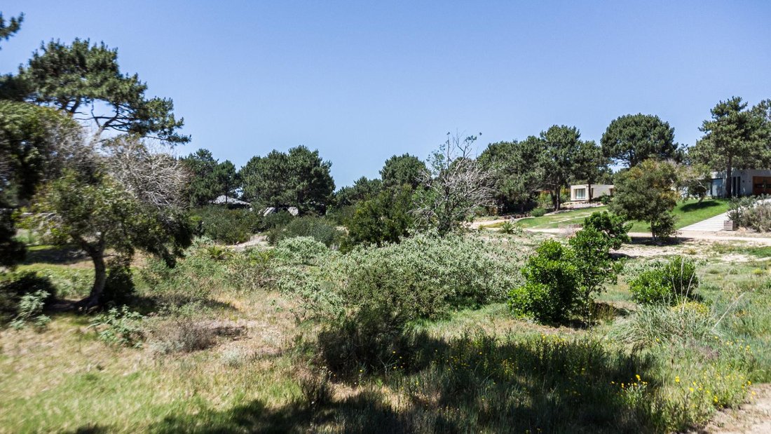 Terreno en Arenas de José Ignacio, Departamento de Maldonado, Uruguay 2 - 18791511