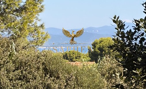 Land in Hyeres, Provence-Alpes-Côte d'Azur, France 1