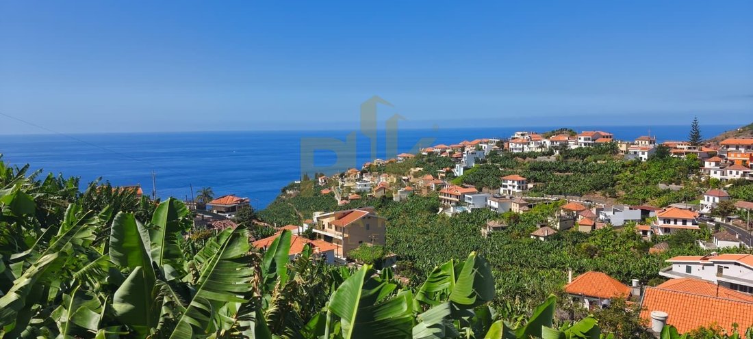 Villa in Ponta do Sol, Autonome Region Madeira, Portugal 2 - 18383479