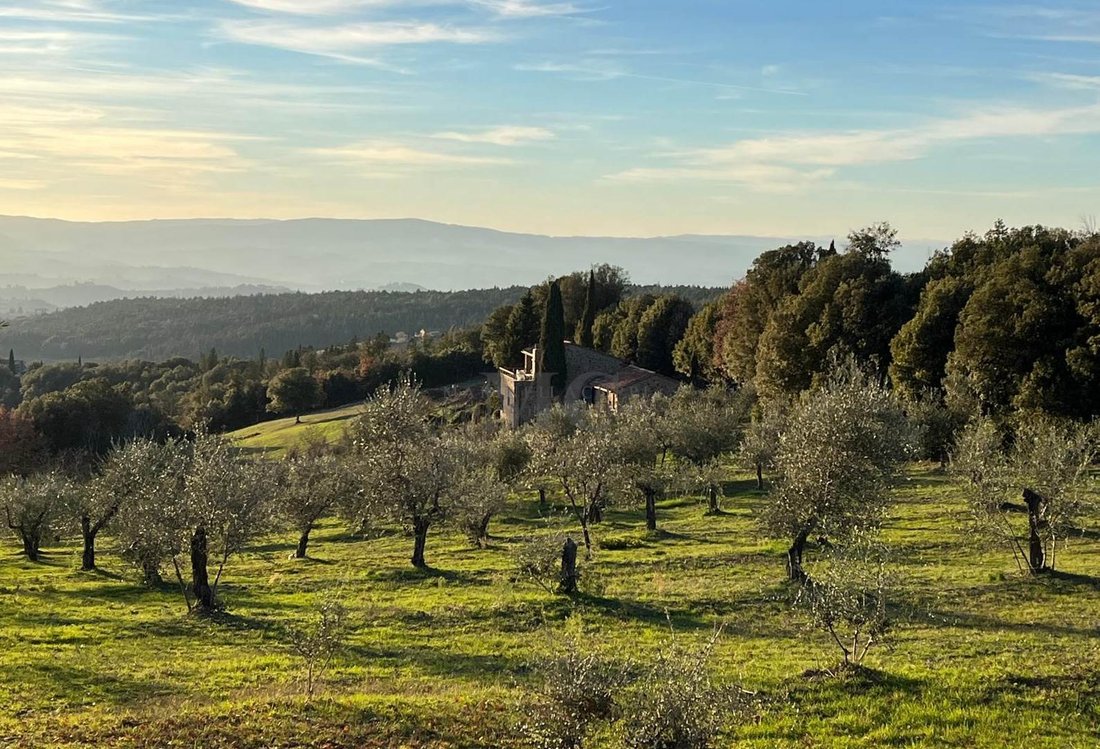 Maisons de campagne à Castellina in Chianti, Toscane, Italie 2 - 18800180