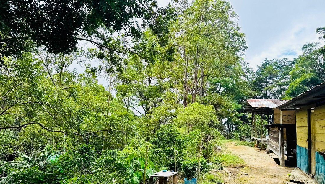 Terreno en Palmira, Provincia de Chiriquí, Panamá 3 - 18798839