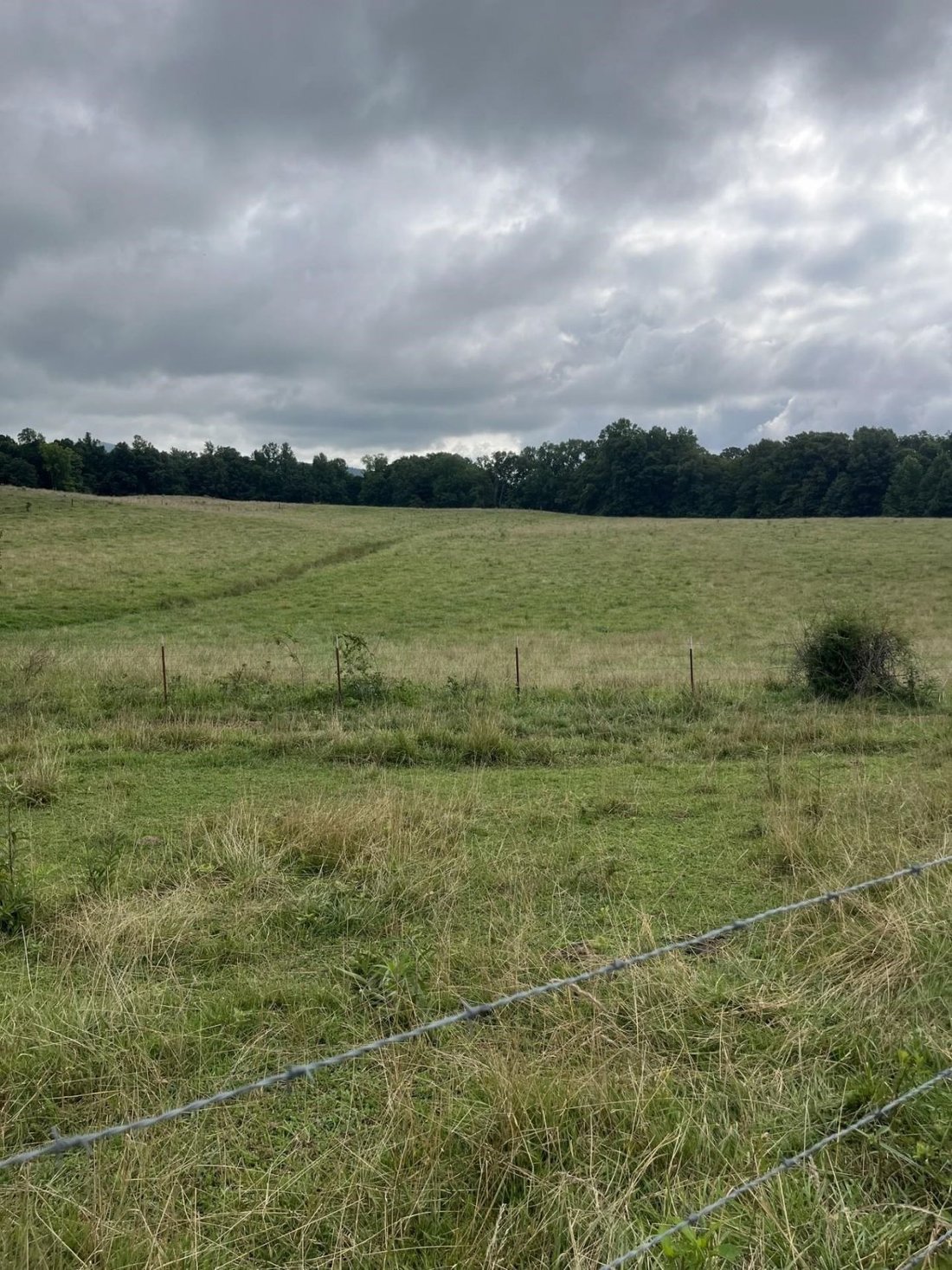 Land in Monroe, Tennessee, Vereinigte Staaten 4 - 18802220