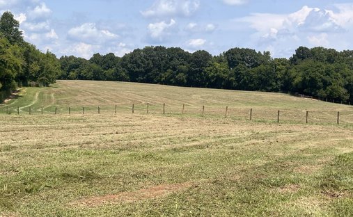 Land in Delano, Tennessee, United States 1