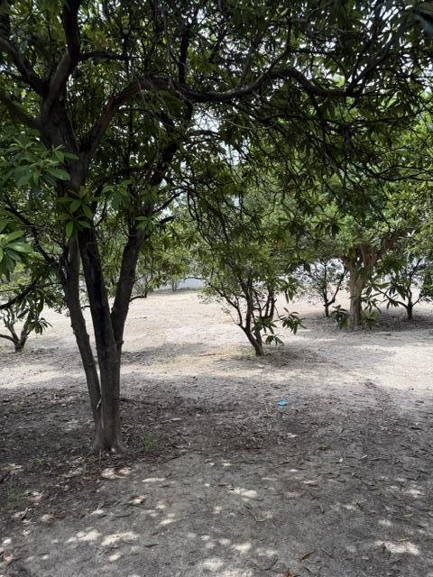 Land in Cadereyta Jiménez, Nuevo Leon, Mexico 2 - 18637046
