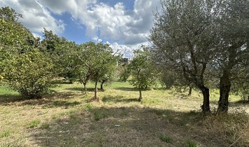 Casa di campagna a Castellina in Chianti, Toscana, Italia 2