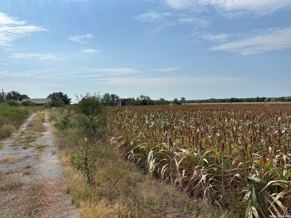 Converse, Texas, United States 1 - 18793163