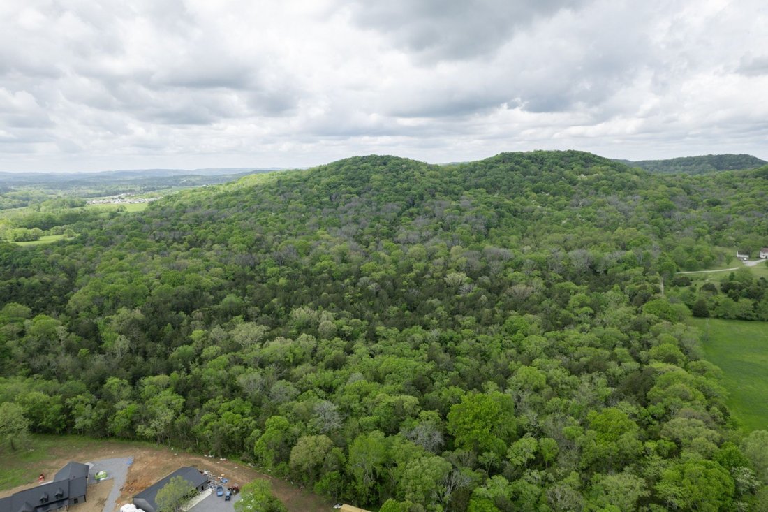 Terrain à Nolensville, Tennessee, États-Unis 3 - 18802035