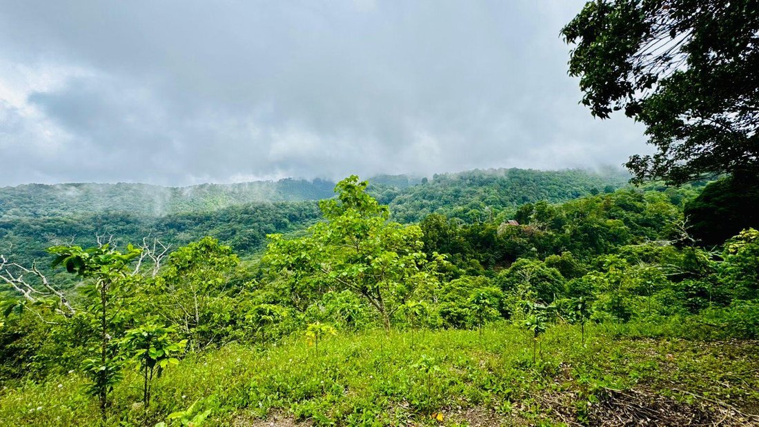Terreno en Palmira, Provincia de Chiriquí, Panamá 1 - 18798839