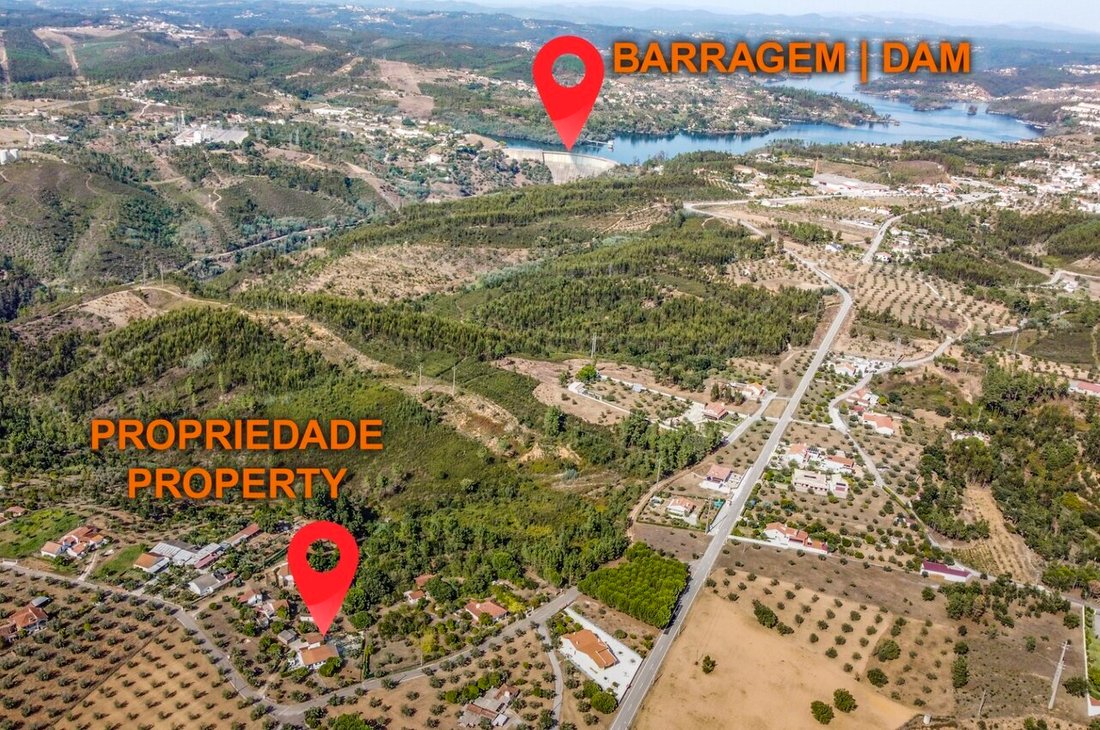 Azienda agricola a Martinchel, Distretto di Santarém, Portogallo 5 - 18555548