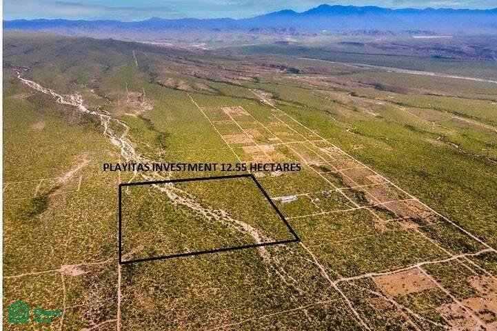 Terrain en Las Playitas, Basse-Californie du Sud, Mexique 3 - 17806953