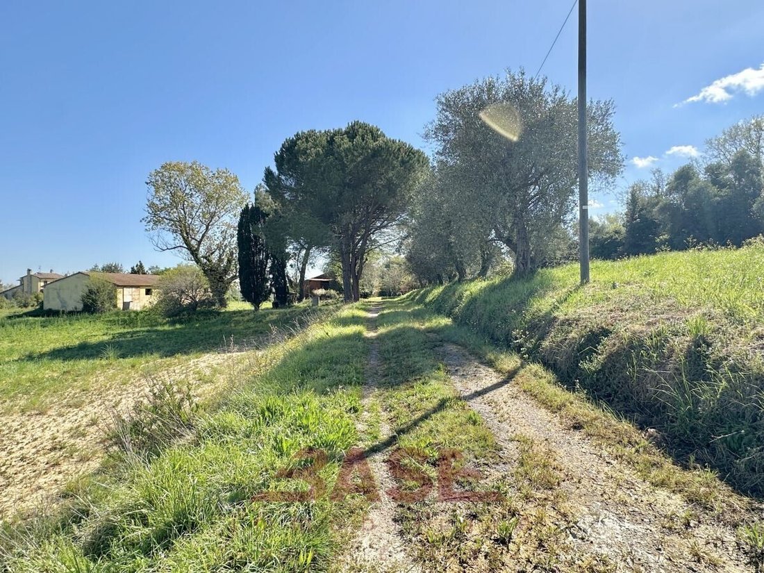 Land in Collesalvetti, Tuscany, Italy 3 - 18795863