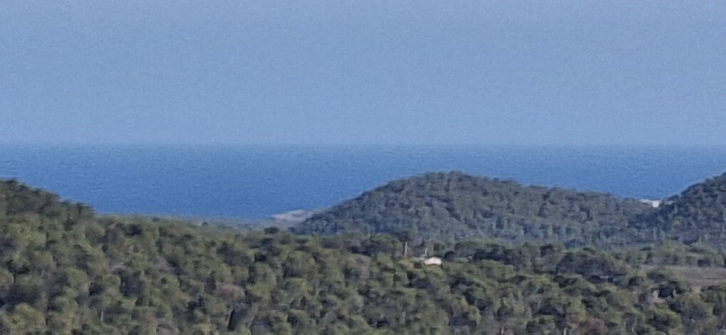 Landhaus in Felanitx, Balearische Inseln, Spanien 3 - 16392557