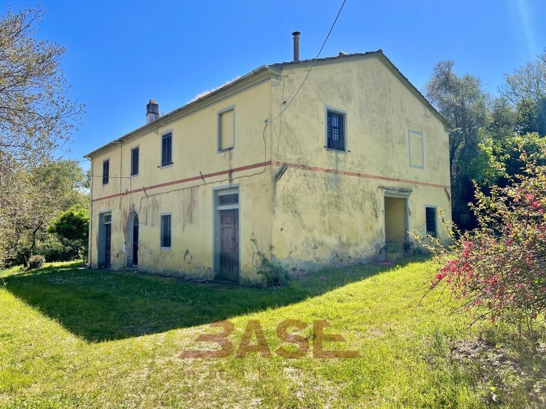 Land in Collesalvetti, Tuscany, Italy 5 - 18795863