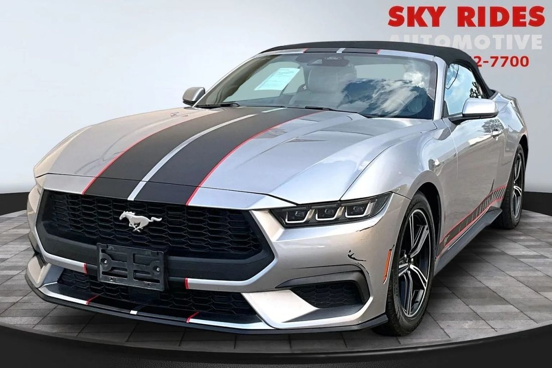 Cabriolet in Houston, TX, United States 3 - 18788662