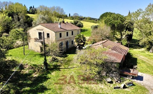 Land in Collesalvetti, Tuscany, Italy 1