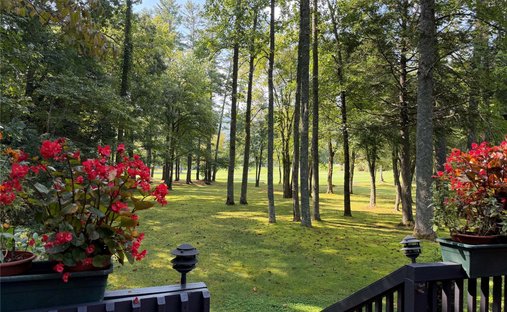 Eigentumswohnung in Cashiers, North Carolina, Vereinigte Staaten 1
