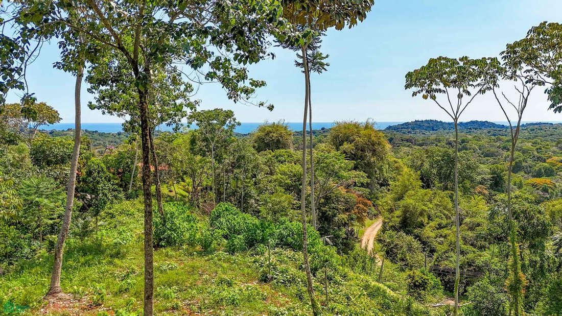 Terrain à Ojochal, Puntarenas, Costa Rica 1 - 17848418