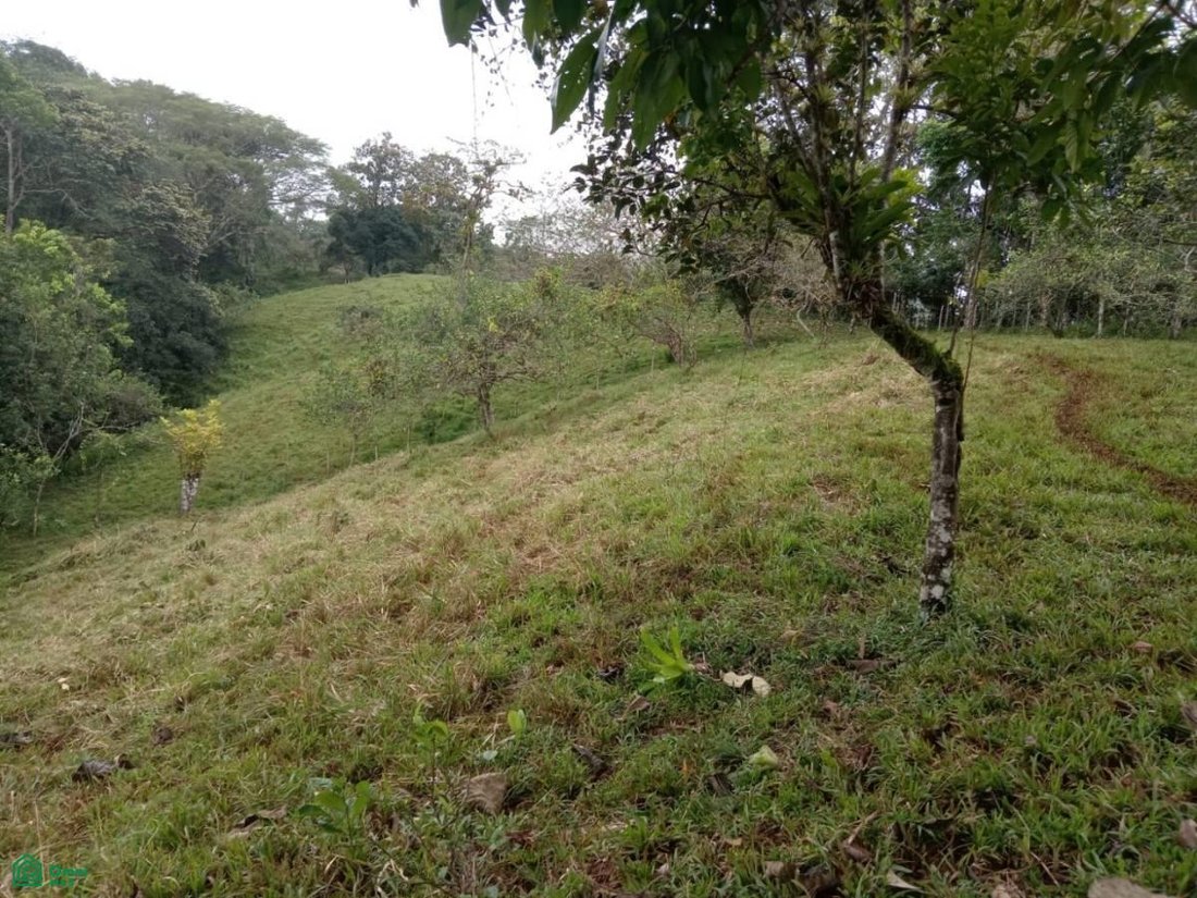 Terrain en Carara, San José, Costa Rica 5 - 17811415