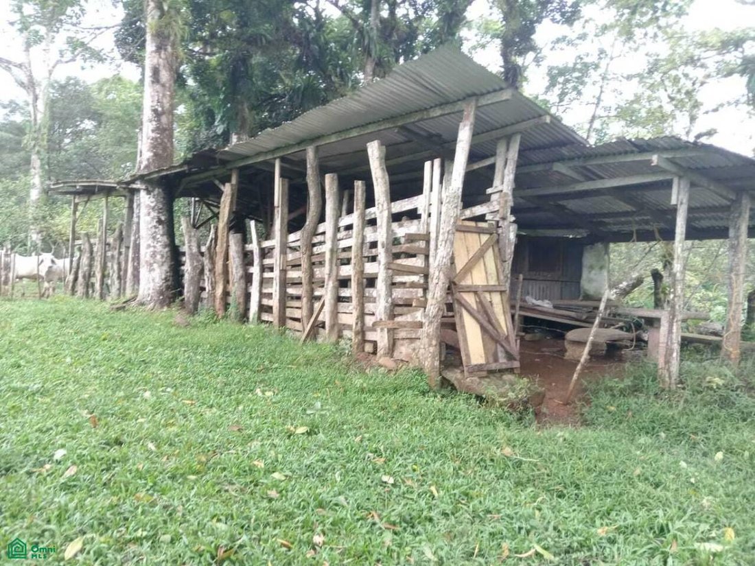 Terrain en Carara, San José, Costa Rica 4 - 17811415