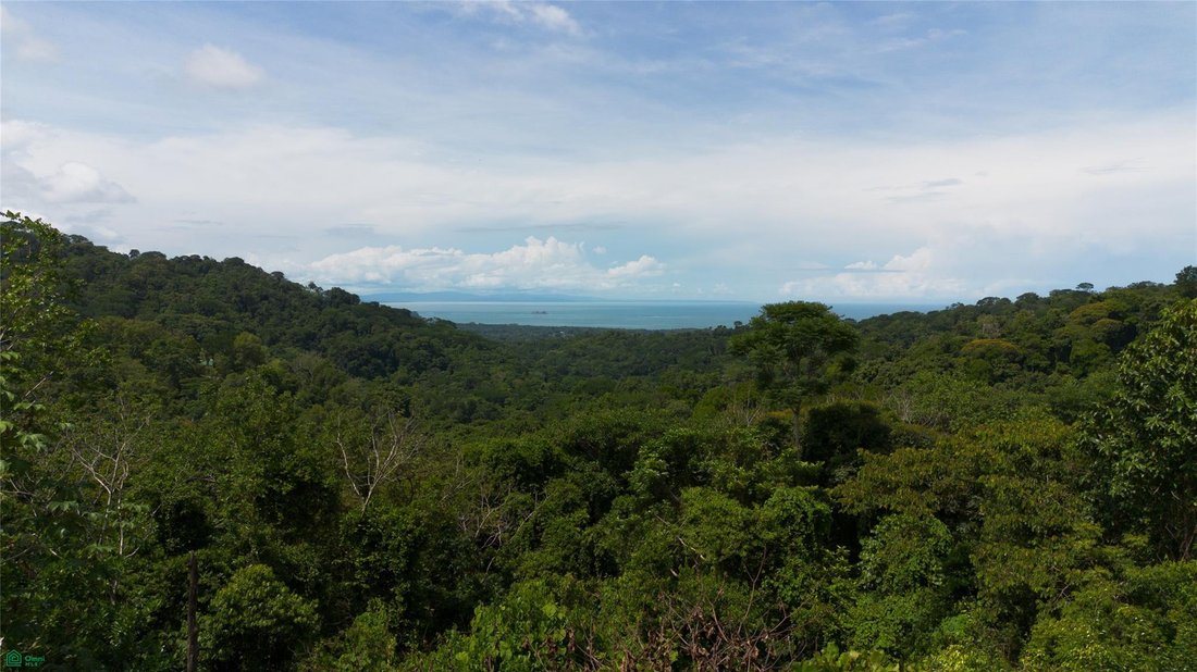 Casa a Uvita, Provincia di Puntarenas, Costa Rica 2 - 18321243