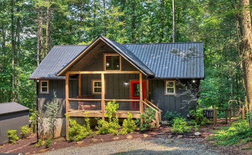 House in Blue Ridge, Georgia, United States 1