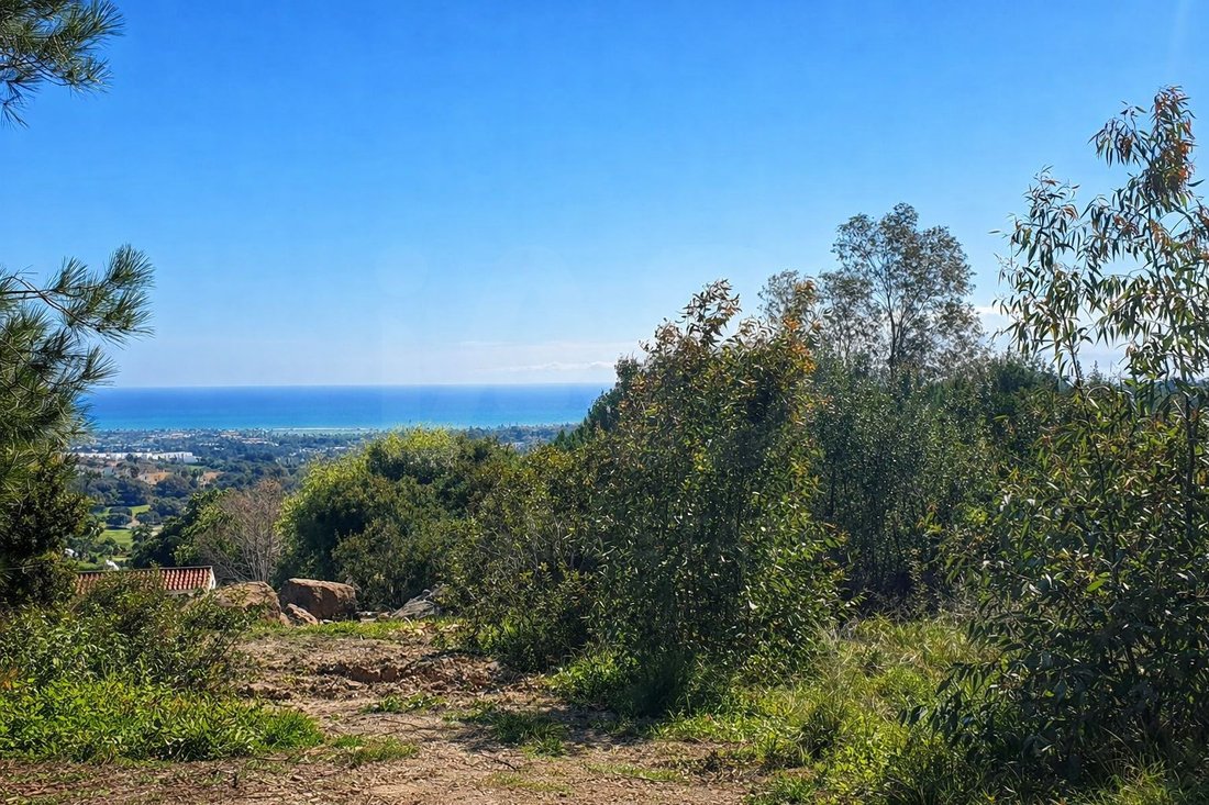 Land in Sotogrande, San Roque, Andalusia 4 - 17529954