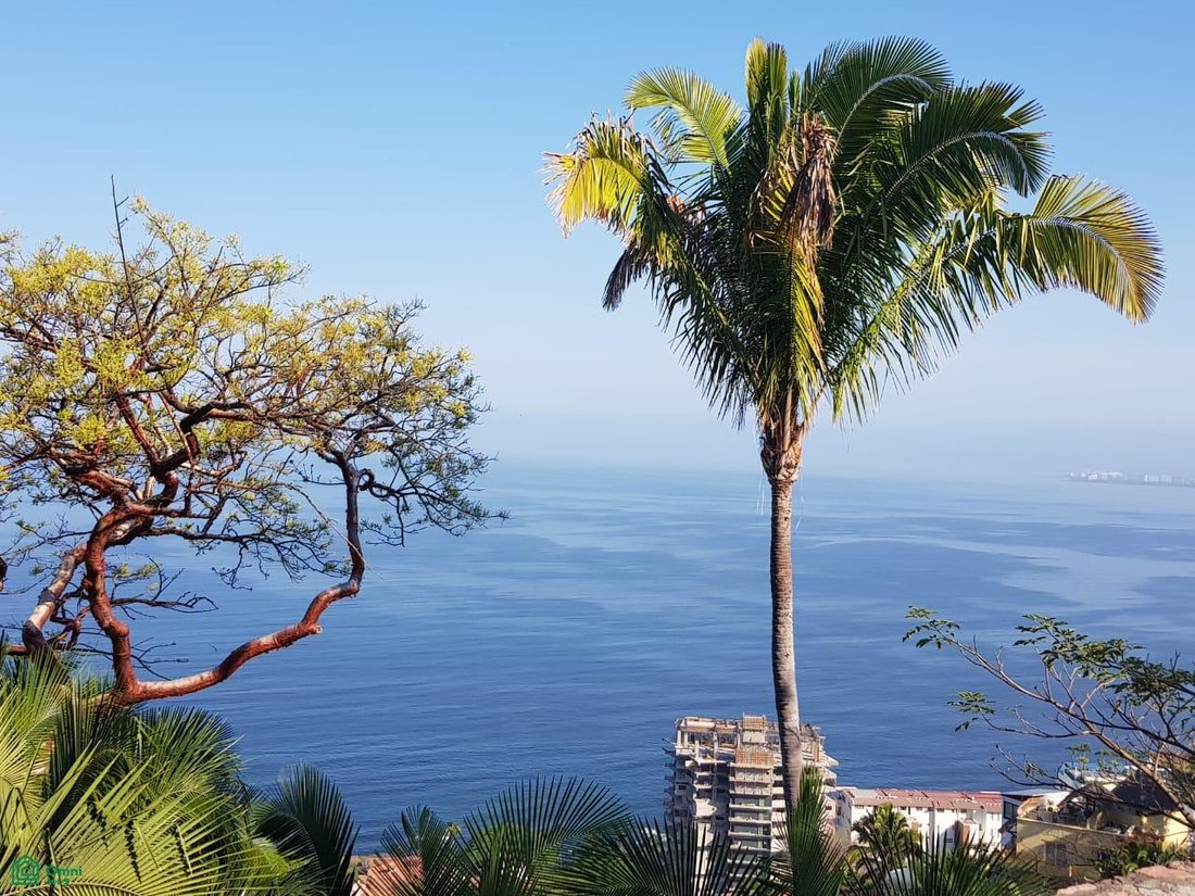 Land in Puerto Vallarta, Jalisco, Mexiko 4 - 17815092