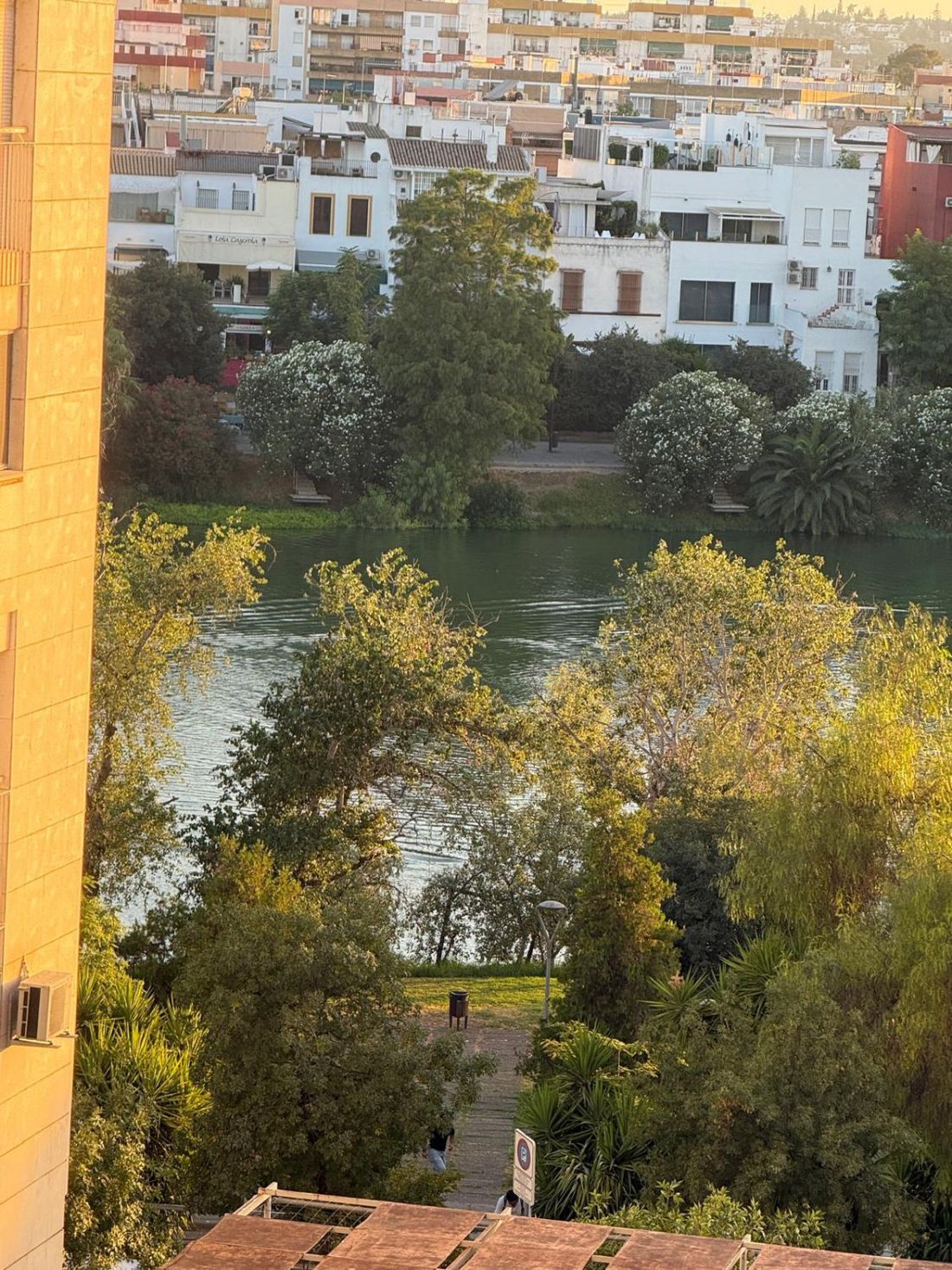 Apartment in Casco Antiguo, Seville, Spain 1 - 18806174