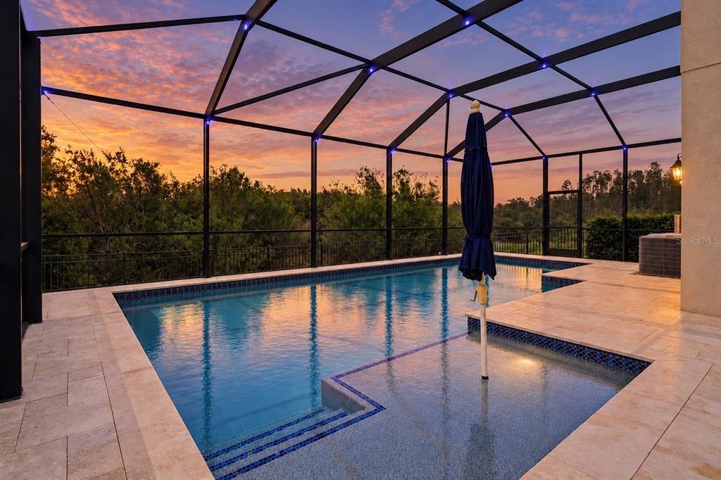 House in Zephyrhills, Florida, United States 4 - 17642731