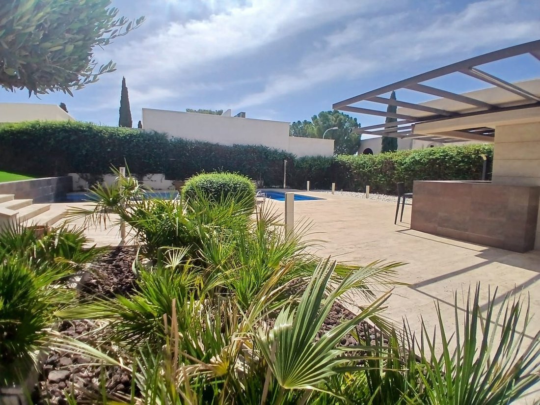 Chalet a Valdepeñas, Castiglia-La Mancia, Spagna 5 - 18806177