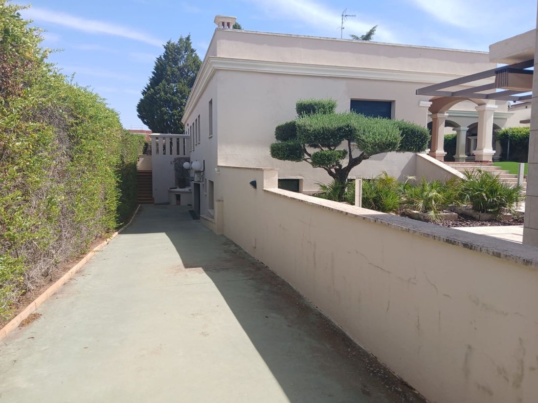 Chalet in Valdepenas, Castile-La Mancha, Spain 5 - 18806177