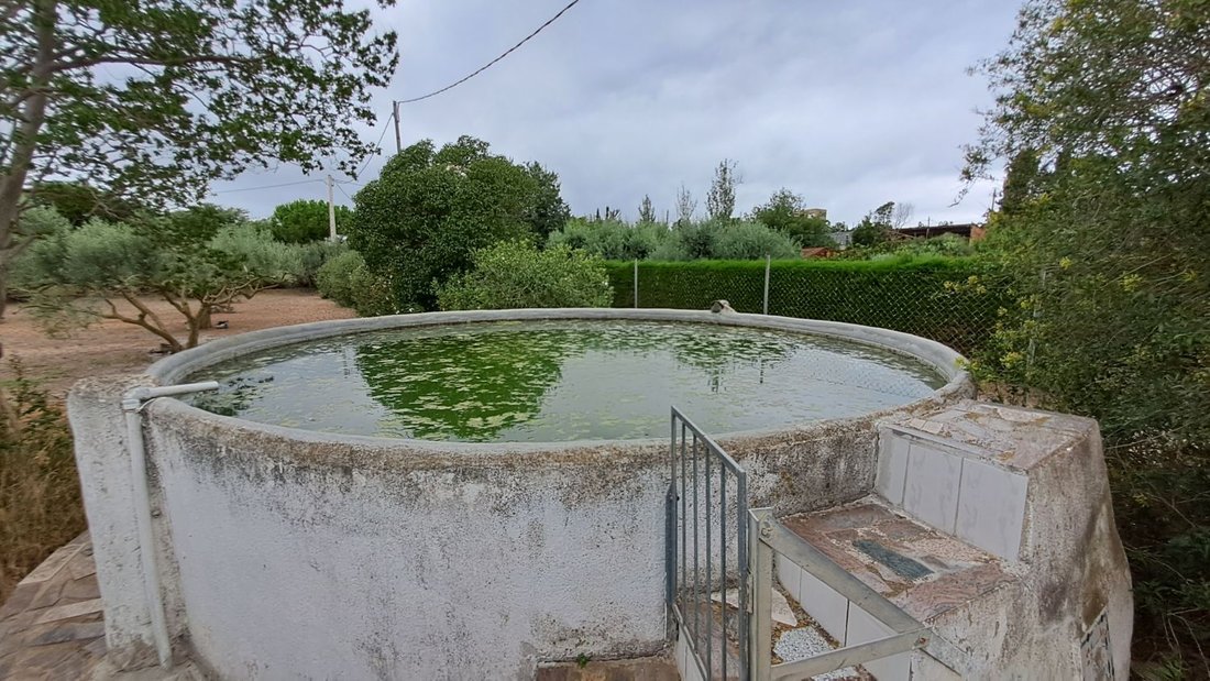 Farm Ranch in Vila-seca, Catalonia, Spain 5 - 18806175