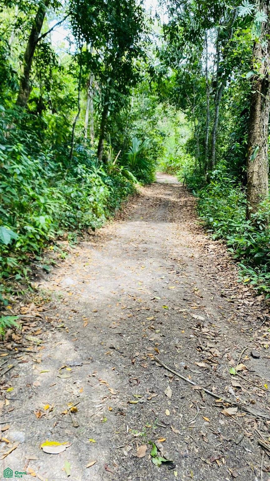 Terreno en Spanish Lookout, Distrito de Cayo, Belice 5 - 17815166