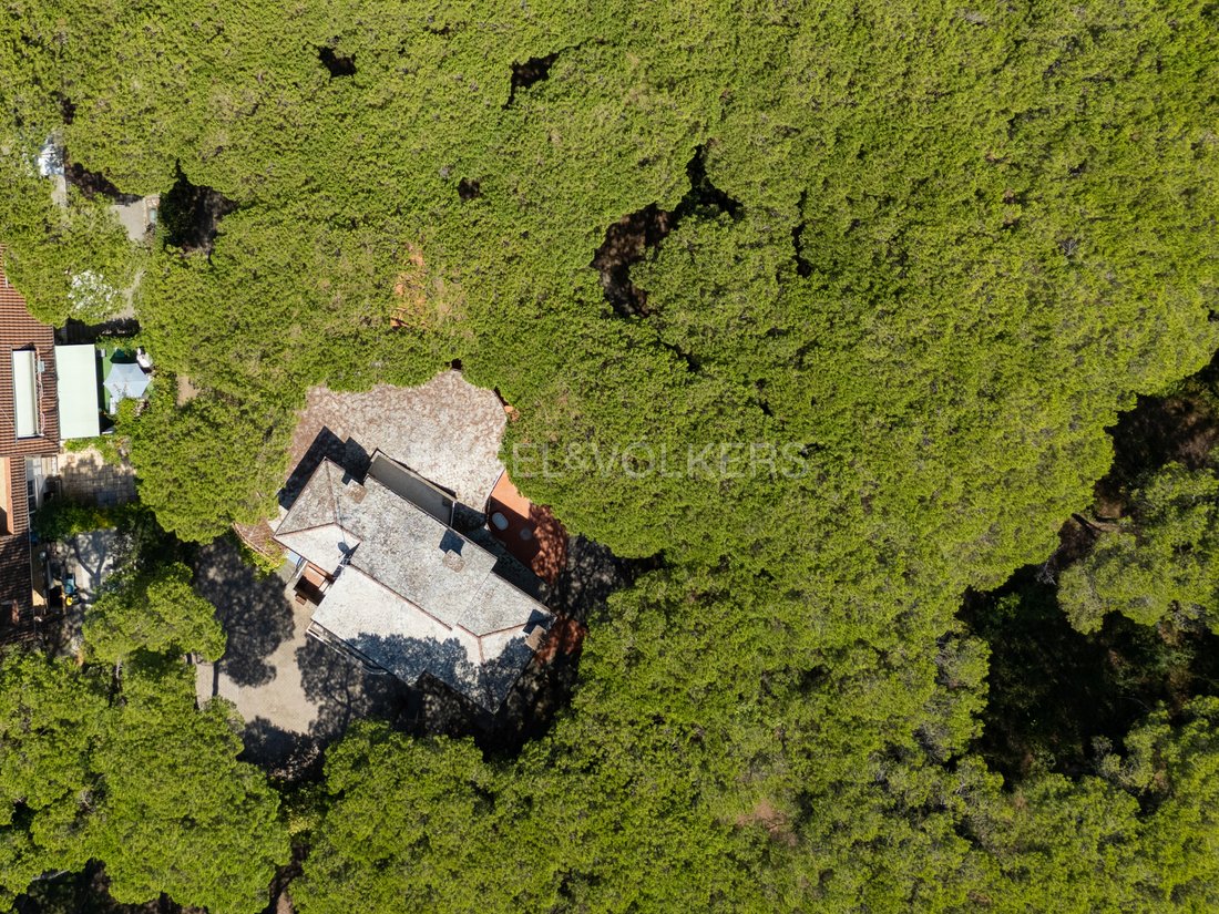 Villa in Principina a Mare, Grosseto, Italy 3 - 18806369