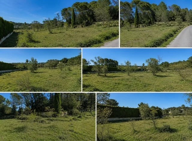 Land in Mougins, Provence-Alpes-Côte d'Azur, France 3 - 17471779
