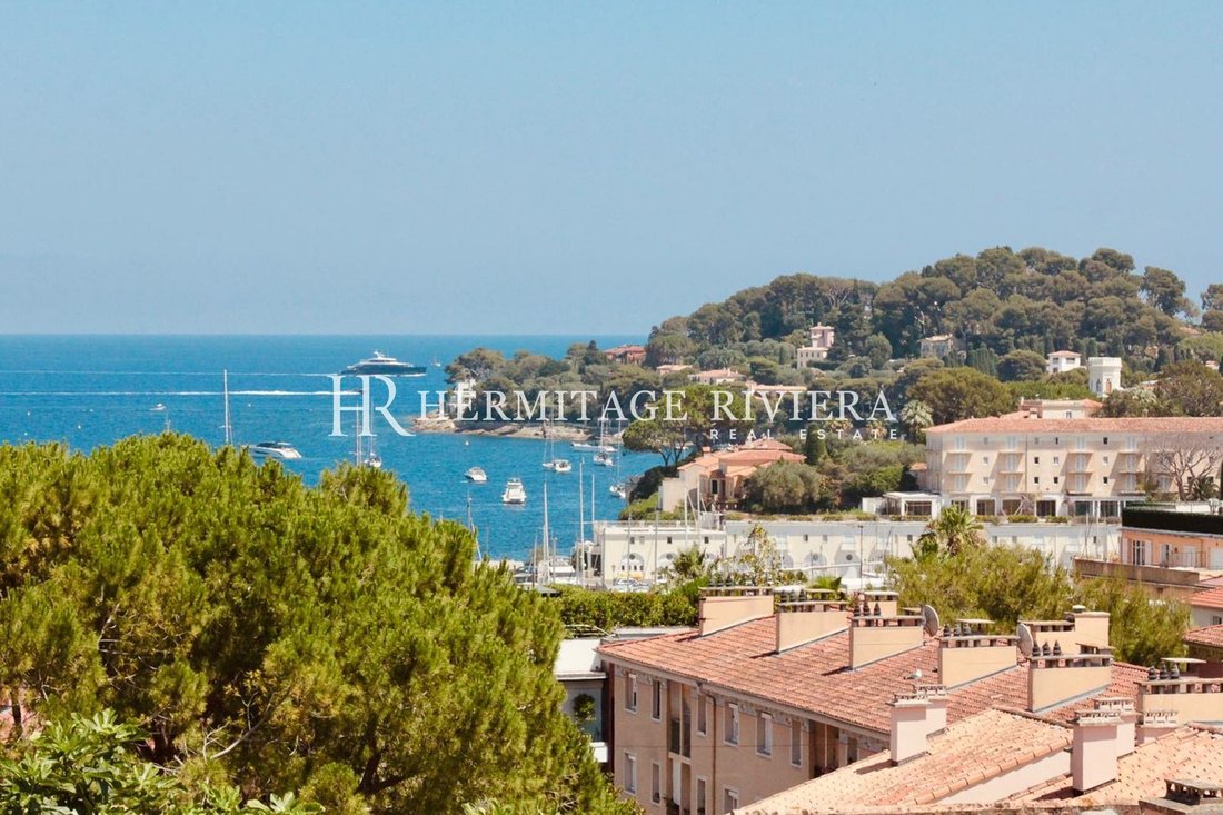Villa in Saint-Jean-Cap-Ferrat, Provence-Alpes-Côte d'Azur, France 4 - 18807023
