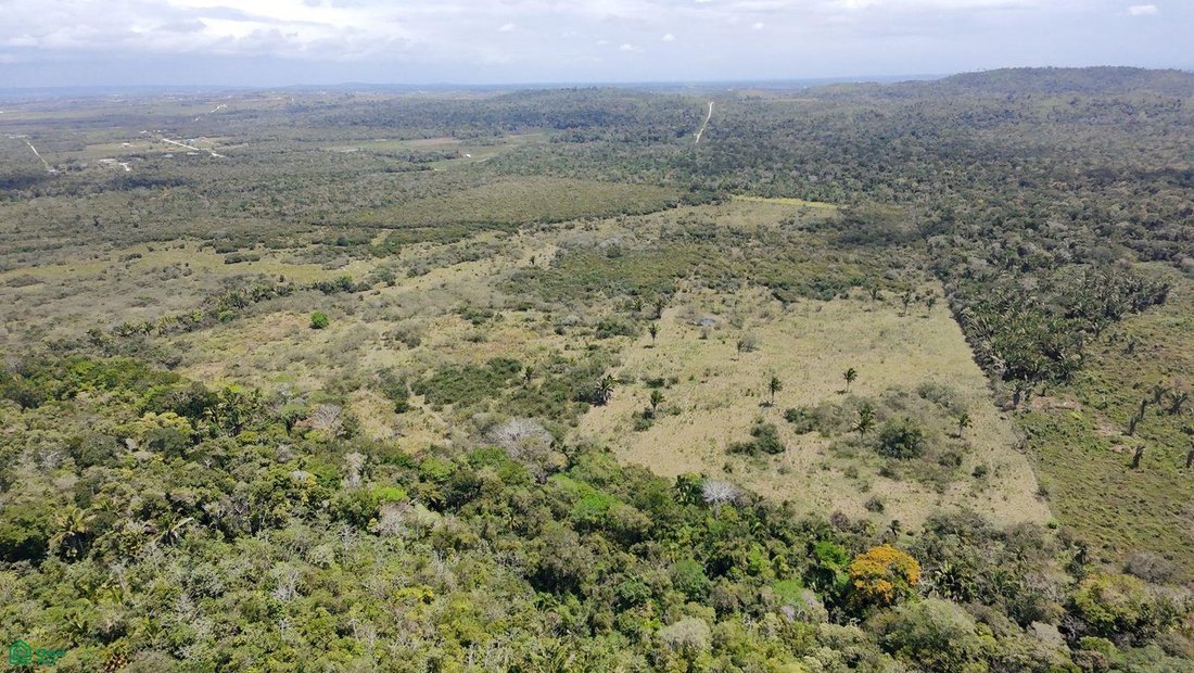 Terreno en Spanish Lookout, Distrito de Cayo, Belice 3 - 17815166