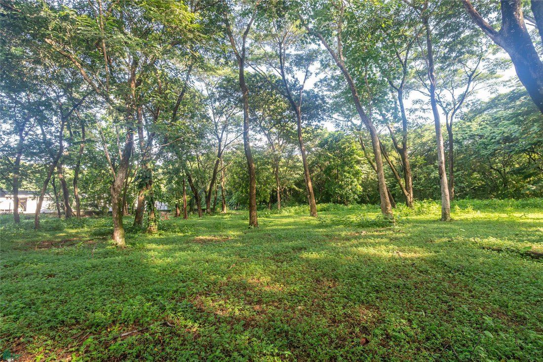 Land in Cangrejal, Provinz Guanacaste, Costa Rica 4 - 18807753