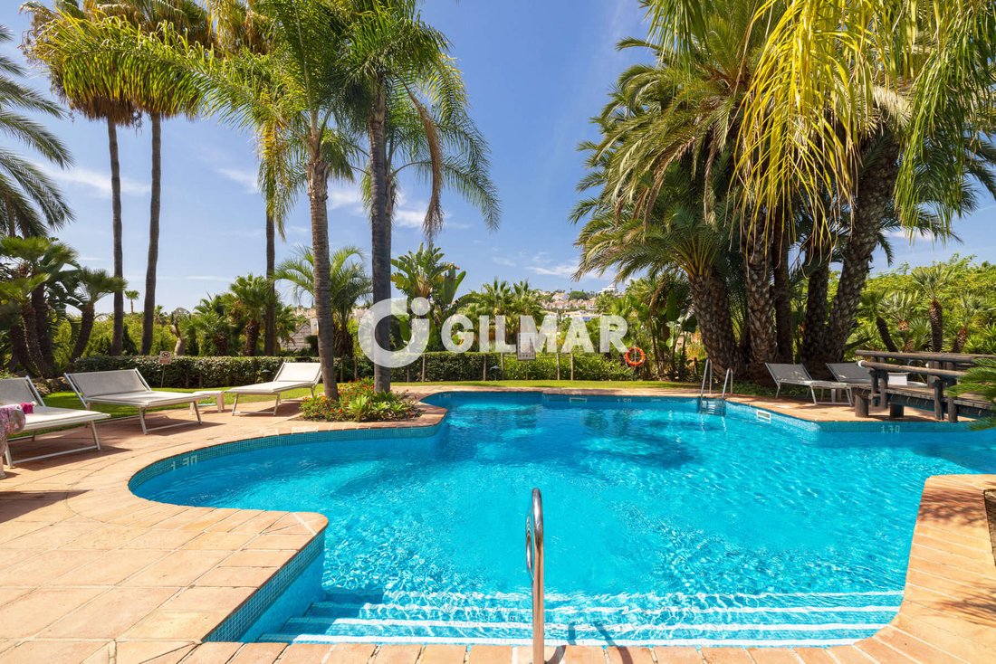 Penthouse en Estepona, Andalucía, España 3 - 18806564