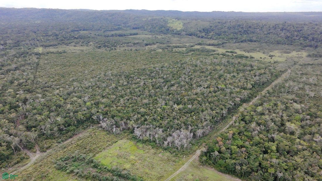 Terreno en Spanish Lookout, Distrito de Cayo, Belice 2 - 17815166