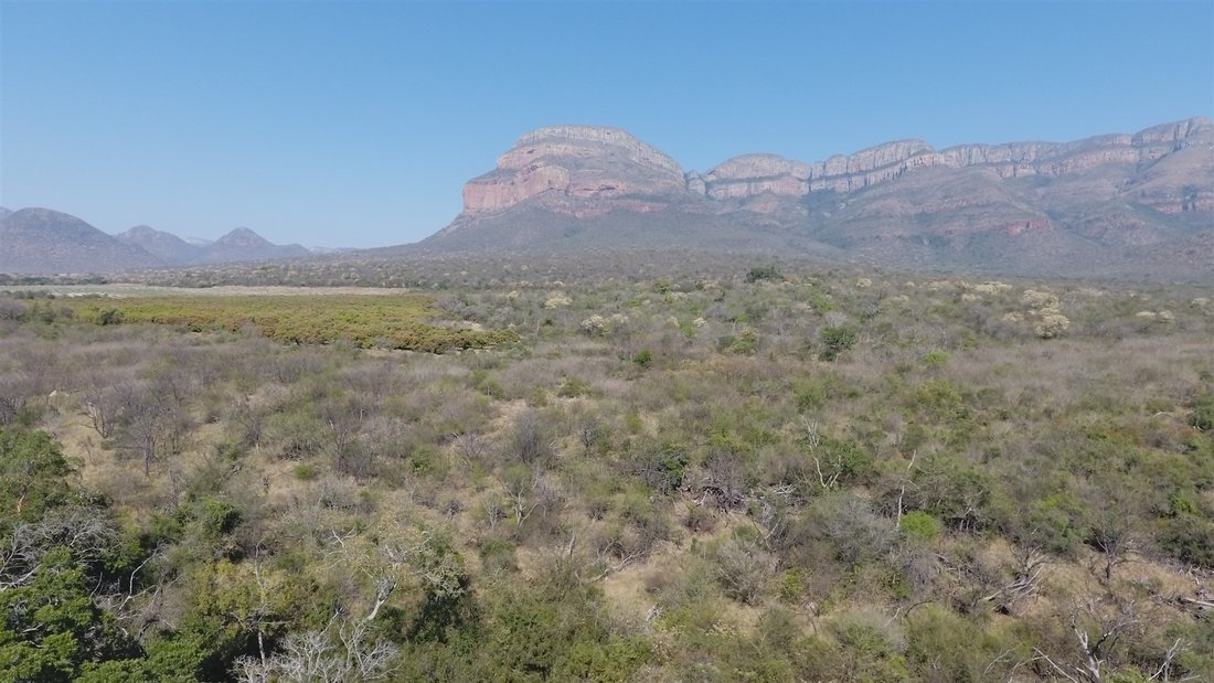 Farm Ranch in Hoedspruit, Limpopo, South Africa 5 - 18807503