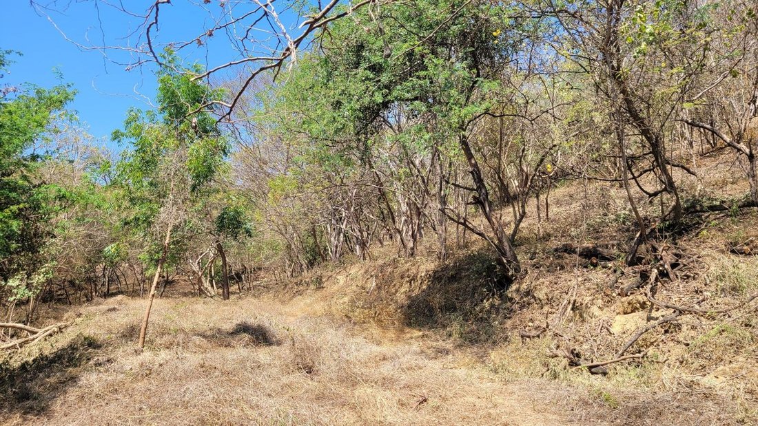 Land in La Barra, Oaxaca, Mexico 4 - 18583049